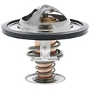 Termostato CAUPLAS TT1065