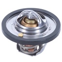 Termostato CAUPLAS TT1069