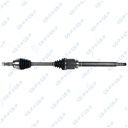 Flecha Homocinética GSP 203993