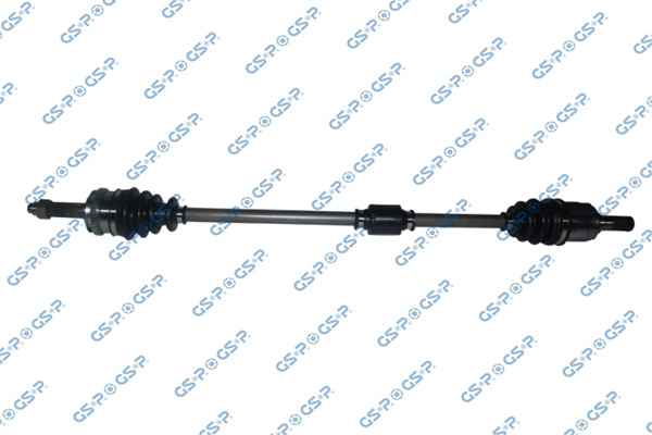 227206 — Flecha Homocinética GSP 227206