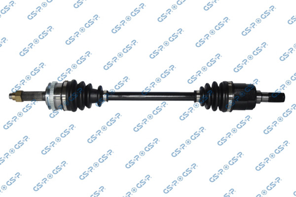 227207 — Flecha Homocinética GSP 227207