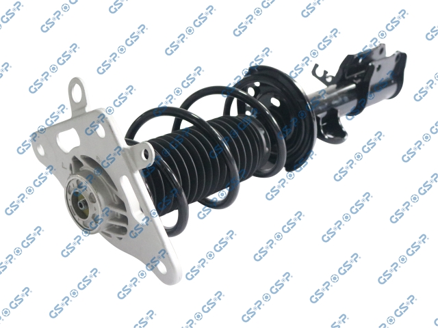 Strut Armado con Resorte Trasero Derecho GSP 30000076