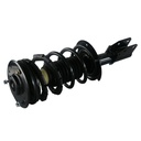 Strut Armado con Resorte Delantero GSP 30300080