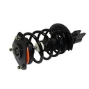 Strut Armado con Resorte Delantero GSP 30300100