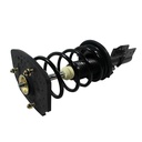 Strut Armado con Resorte Trasero Izquierdo GSP 30300182