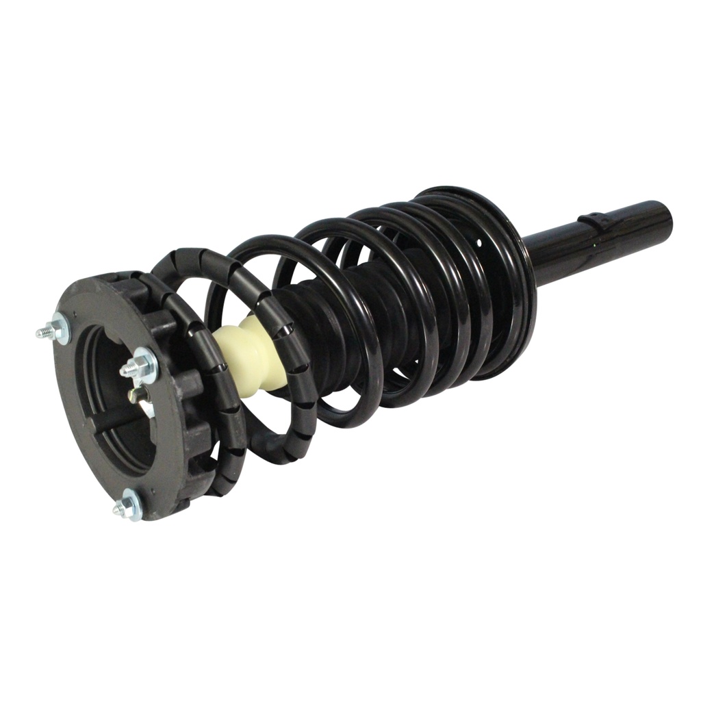 30300440 — Strut Armado con Resorte Trasero GSP 30300440