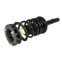 Strut Armado con Resorte Trasero GSP 30300440