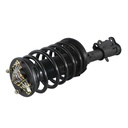 Strut Armado con Resorte Delantero GSP 30300460
