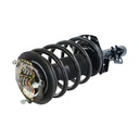 Strut Armado con Resorte Delantero Izquierdo GSP 30300482