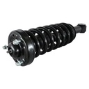 Strut Armado con Resorte Delantero GSP 30300600