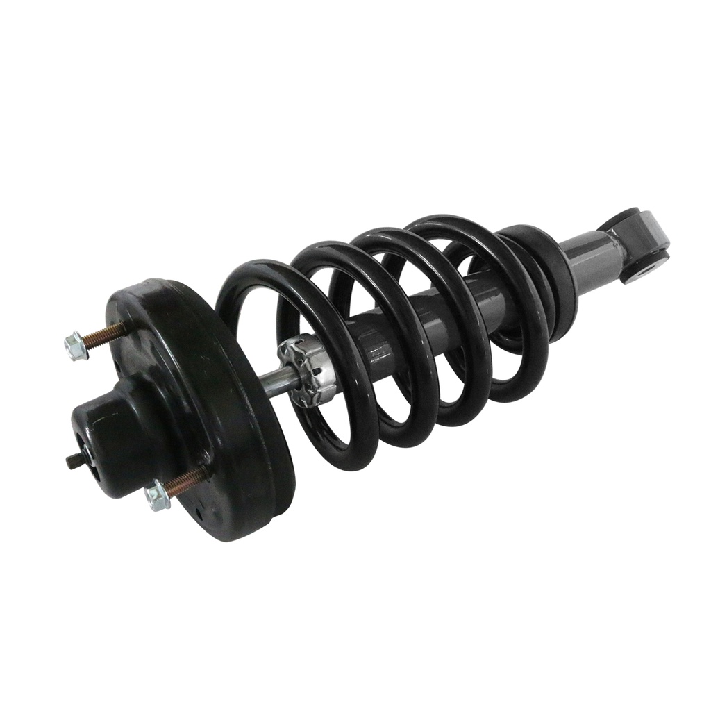 30300620 — Strut Armado con Resorte Trasero GSP 30300620