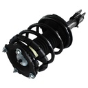 Strut Armado con Resorte Trasero GSP 30300720