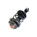 Strut Armado con Resorte Delantero Derecho GSP 30300731