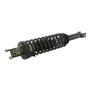 Strut Armado con Resorte Trasero GSP 30300780