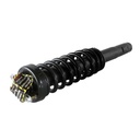 Strut Armado con Resorte Delantero Derecho GSP 30301021