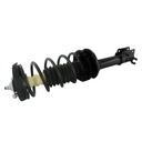 Strut Armado con Resorte Trasero GSP 30301300