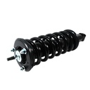 Strut Armado con Resorte Delantero GSP 30301510