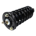 Strut Armado con Resorte Delantero GSP 30301520