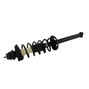 Strut Armado con Resorte Trasero GSP 30301860