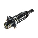 Strut Armado con Resorte Trasero Izquierdo GSP 30302132