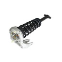 Strut Armado con Resorte Delantero Izquierdo GSP 30302202
