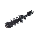 Strut Armado con Resorte Delantero Derecho GSP 30302211