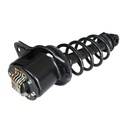 Strut Armado con Resorte Trasero Derecho GSP 30302301