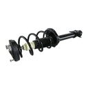 Strut Armado con Resorte Trasero Derecho GSP 30302941