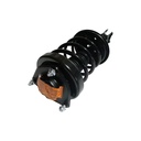 Strut Armado con Resorte Delantero Derecho GSP 30303161