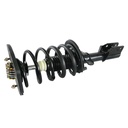 Strut Armado con Resorte Trasero Izquierdo GSP 30303342