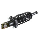 Strut Armado con Resorte Trasero GSP 30303400