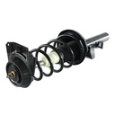 Strut Armado con Resorte Trasero GSP 30303440