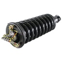Strut Armado con Resorte Delantero GSP 30303510