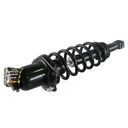 Strut Armado con Resorte Trasero Derecho GSP 30303601