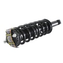 Strut Armado con Resorte Trasero GSP 30303630