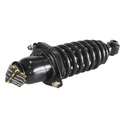 Strut Armado con Resorte Trasero Derecho GSP 30303641