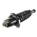 Strut Armado con Resorte Trasero Izquierdo GSP 30303652