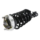 Strut Armado con Resorte Delantero GSP 30303690