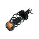 Strut Armado con Resorte Delantero Izquierdo GSP 30303842