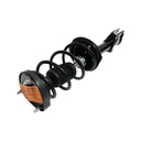 Strut Armado con Resorte Trasero Izquierdo GSP 30303932