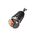 Strut Armado con Resorte Delantero GSP 30303980