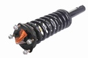 Strut Armado con Resorte Delantero Izquierdo GSP 30304122