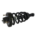 Strut Armado con Resorte Trasero GSP 30304140
