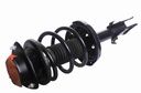 Strut Armado con Resorte Delantero Derecho GSP 30304201