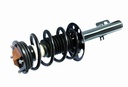 Strut Armado con Resorte Delantero Derecho GSP 30304211