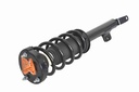 Strut Armado con Resorte Delantero GSP 30304380