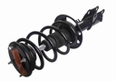 Strut Armado con Resorte Delantero Izquierdo GSP 30304442