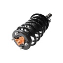 Strut Armado con Resorte Delantero Derecho GSP 30304551