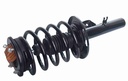 Strut Armado con Resorte Delantero Izquierdo GSP 30304552