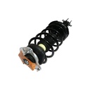 Strut Armado con Resorte Delantero GSP 30304670
